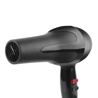 0386 1500 Watts Professional Hair Dryer 2888 (Black) 