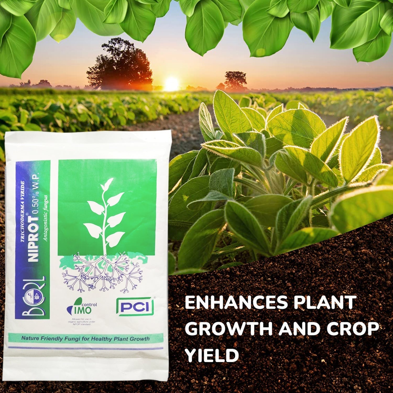 1285 Organic Bio Fungicide for Seeds and Young Plants (500gm) 