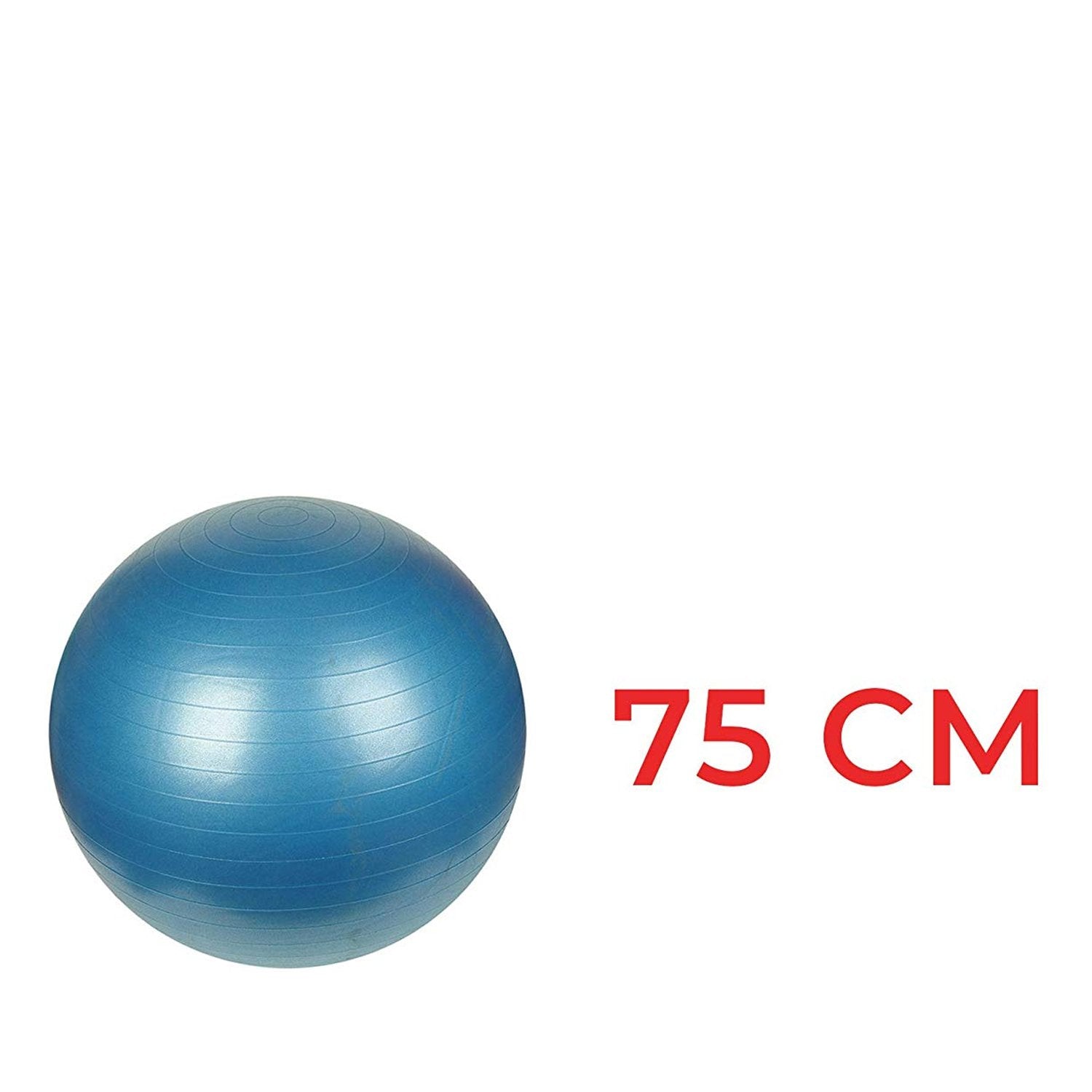 580 Anti-Burst Gym Ball with Pump (75 cm) 