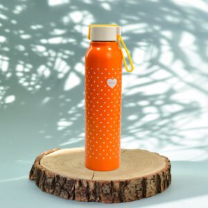 400ML Stainless Steel Printed water bottle for school, college and office.