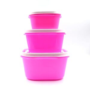 3 Pc Multi-Purpose Container used in all kinds of household and official purposes for storing food and stuffs etc.