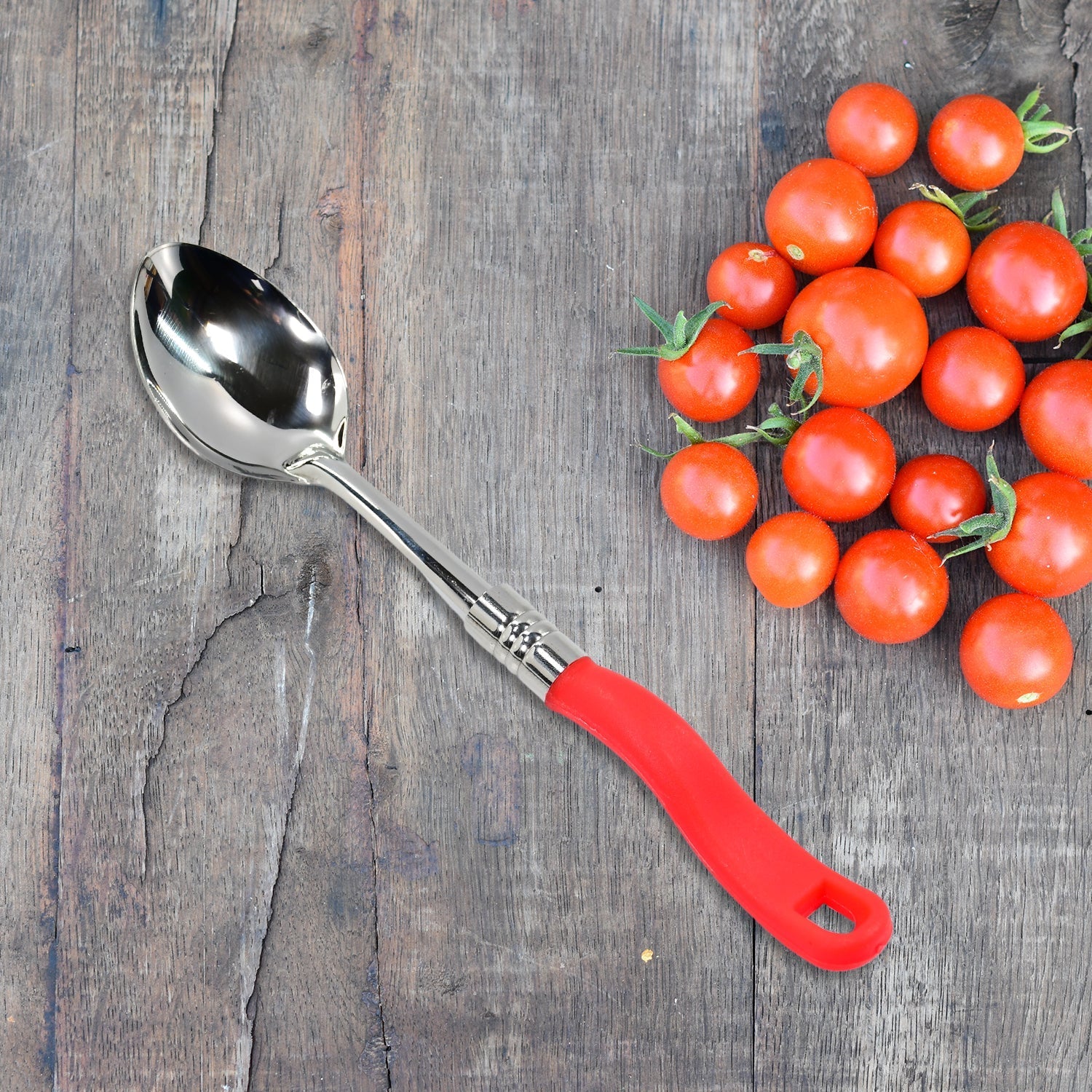 Stainless Steel Serving Spoon with plastic handle